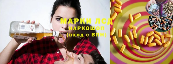 шишки Мегион