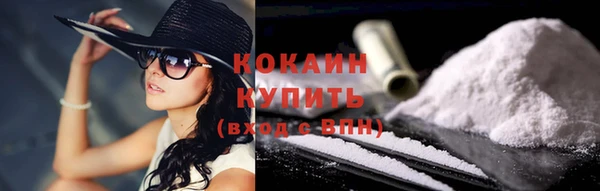 шишки Мегион