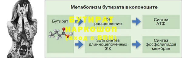 ПСИЛОЦИБИНОВЫЕ ГРИБЫ Богданович