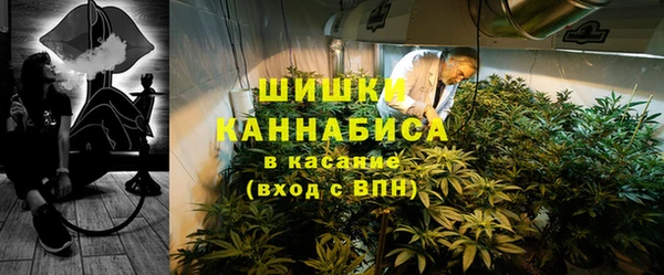 шишки Мегион
