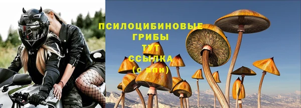 шишки Мегион