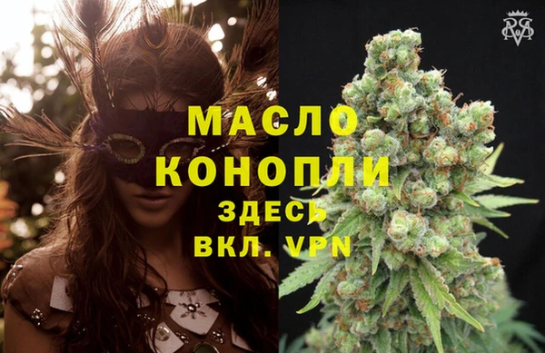 шишки Мегион