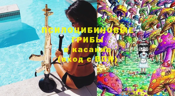 шишки Мегион