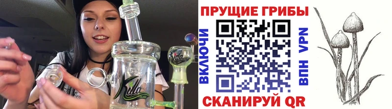 Галлюциногенные грибы прущие грибы  сколько стоит  гидра маркетплейс  Дегтярск 